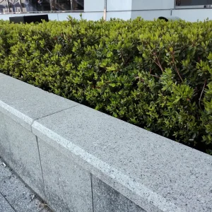 ストックフォト #994