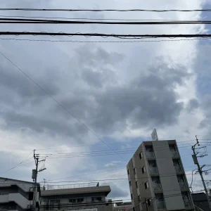 ストックフォト #941