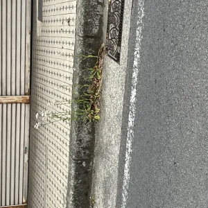 ストックフォト #1014