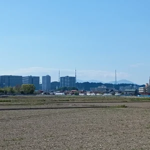 ストックフォト #694