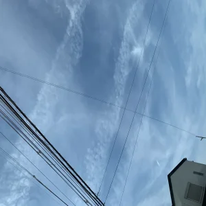 ストックフォト #1174