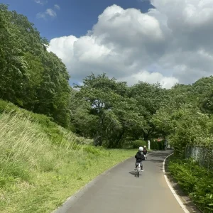 ストックフォト #224