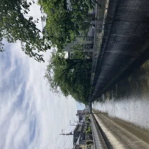 ストックフォト #990