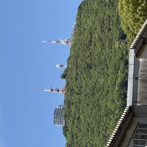 ストックフォト #635